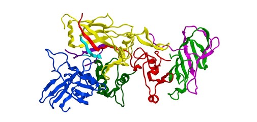 Molecular structure of Anthrax toxin, 3D rendering
