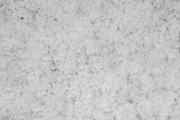 Abstract white background. Minimalistic pattern in light colors. White texture of cement wall. Blank for designer