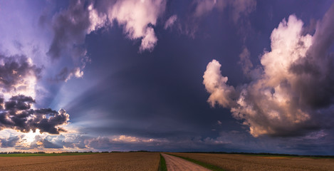 Fototapety na wymiar - Fototapeta24.pl