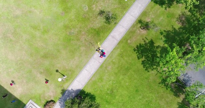 Aerial view of group of people in the park discussing and doing work.