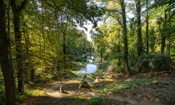 5 verwunschene Weiher bei Heidesheim