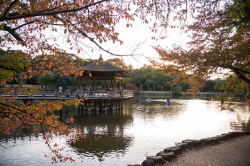 奈良公園　秋　紅葉