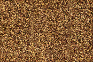 Natural oat grains background, closeup