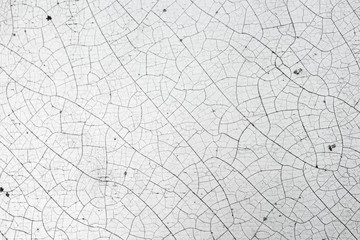 Crack texture of white leather, abstract background.