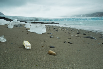 Plastic pollution on Arctic coast.