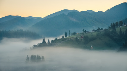 Carpathian mountain landscape on a foggy summer day