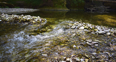 Fluss im Schwarzwald