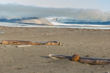 Plastic pollution on Arctic coast.