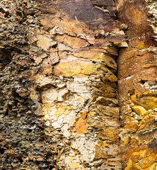 Textura de rocha