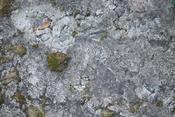 texture of old grey concrete