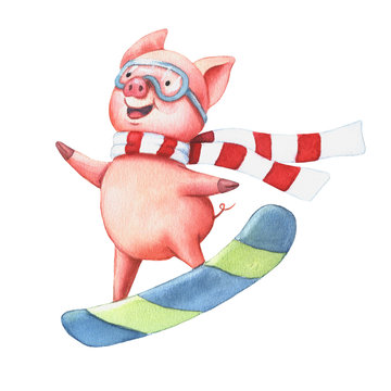 Watercolor little pig on the skateboard