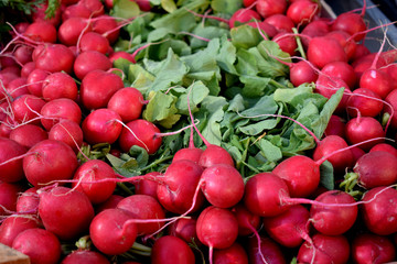 Ripe tasty radish on the market counter