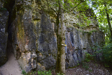 Fluss im Schwarzwald