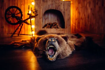 Schilderijen op glas Skin of dead bear lies on floor in interior taxidermy. © Parilov