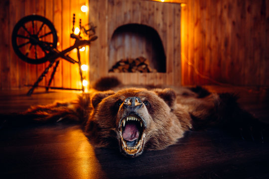 Skin of dead bear lies on floor in interior taxidermy.