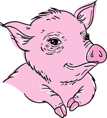 illustration of cute pig on white background