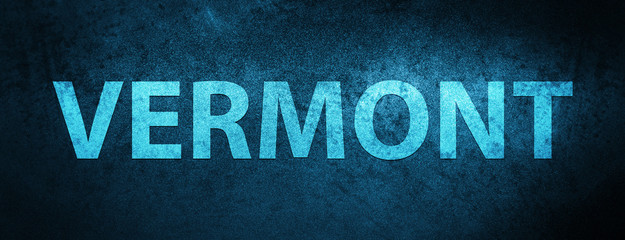 Vermont USA special blue banner background