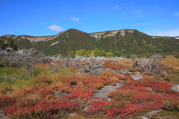 autumn in the mountains