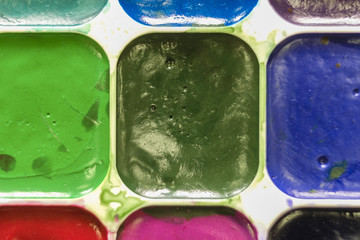 Set of watercolor close up