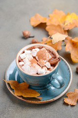 Hot Chocolate with Marshmallows and Autumn Leaves on Stone or Concrete Background 