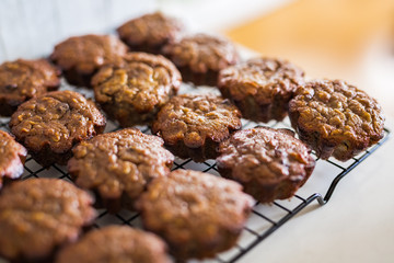 Gluten Free Banana Chocolate Almond Butter Muffins