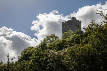 Fototapeta na wymiar Festungsruine in Wales