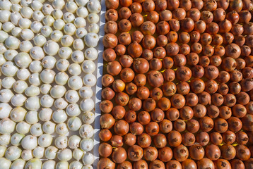 Background of onions, onions. Stand of ripe vegetables. Harvest to agricultural products exhibitions. Harvest the onion.