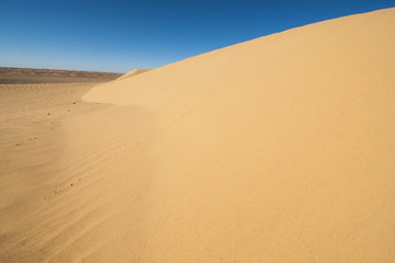 dune