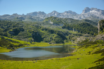 Lagos de Covadonga, lago Ercina, Picos de Europa, Asturias, España