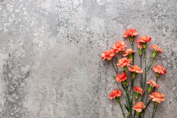 Salmon-colored carnations on the background of old concrete
