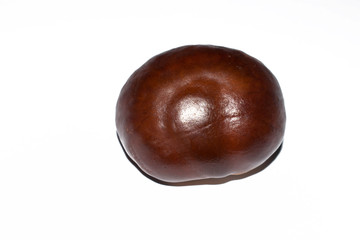 Plant of chestnut fruit round shaped large isolated on white background for dizayne