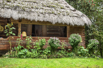 drewniana chata, Ukraina, lwow © Urszula