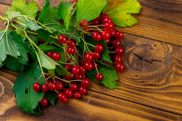 Red viburnum berries with green leaves on wooden table