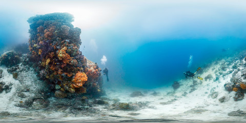 Fototapeta na wymiar Diver off Bangka Island