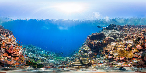 Diver in Raja Ampat