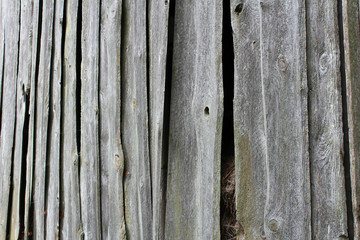 Barn wall with hay peaking through