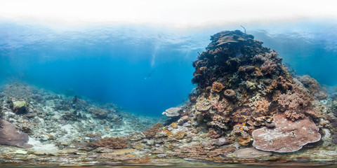 Diver in Manado