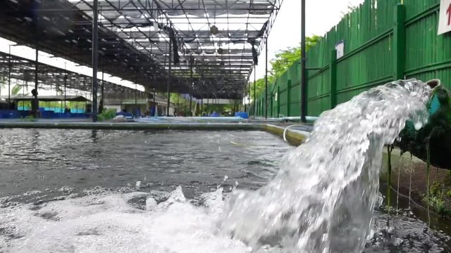 Water flow from the water pump pipe.Slow motion of water gushing out of the pipe from Koi Pond Carp fish farm for oxygen.