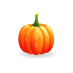 Orange pumpkin vector illustration. Autumn halloween pumpkin, vegetable graphic icon or print, isolated on white background.