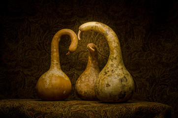 Dried Gourds still life © Chris