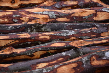 wooden background