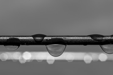 Water drop on steel wire