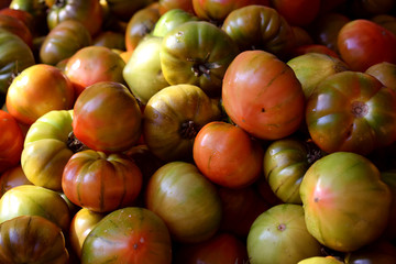 Fresh green and ripe tomatoes on the market counter