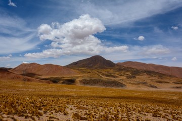Obraz premium Road to Salta. Puna. Argentina