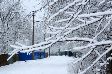 Fototapeta na wymiar snowy winter. snow on the branches