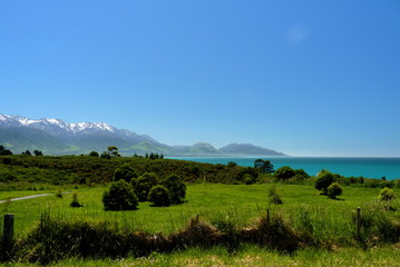 Fototapeta na wymiar Kaikoura in south island,New Zealand.