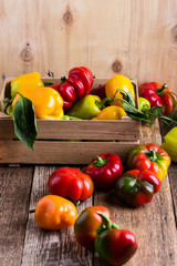 Colorful bell pepper in wooden crate
