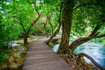 wooden pathway in Krka Park
