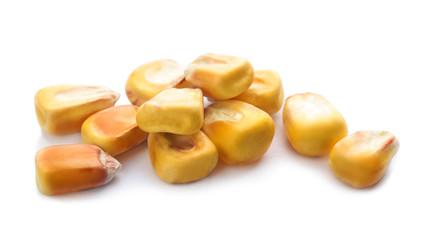 Dried sweet corn kernels on white background