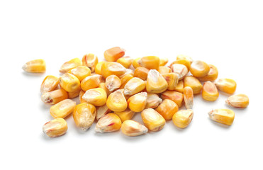 Dried sweet corn kernels on white background